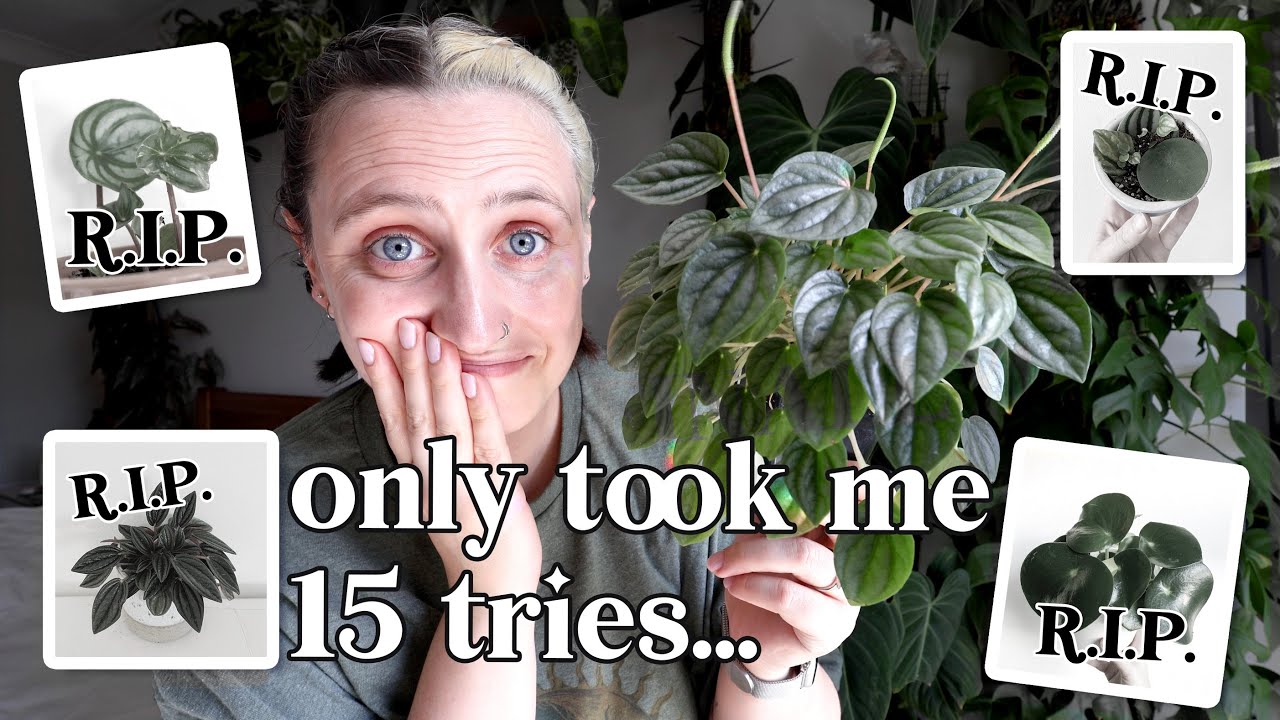 I've tried to grow these plants so many times!! 😳🪴