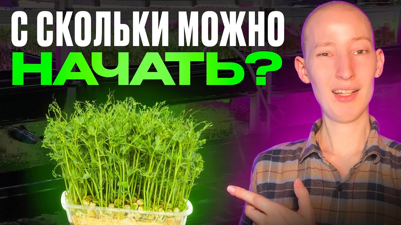 Бизнес с 5000р не начать?! С какой суммы лучше открыть ситиферму микрозелени?