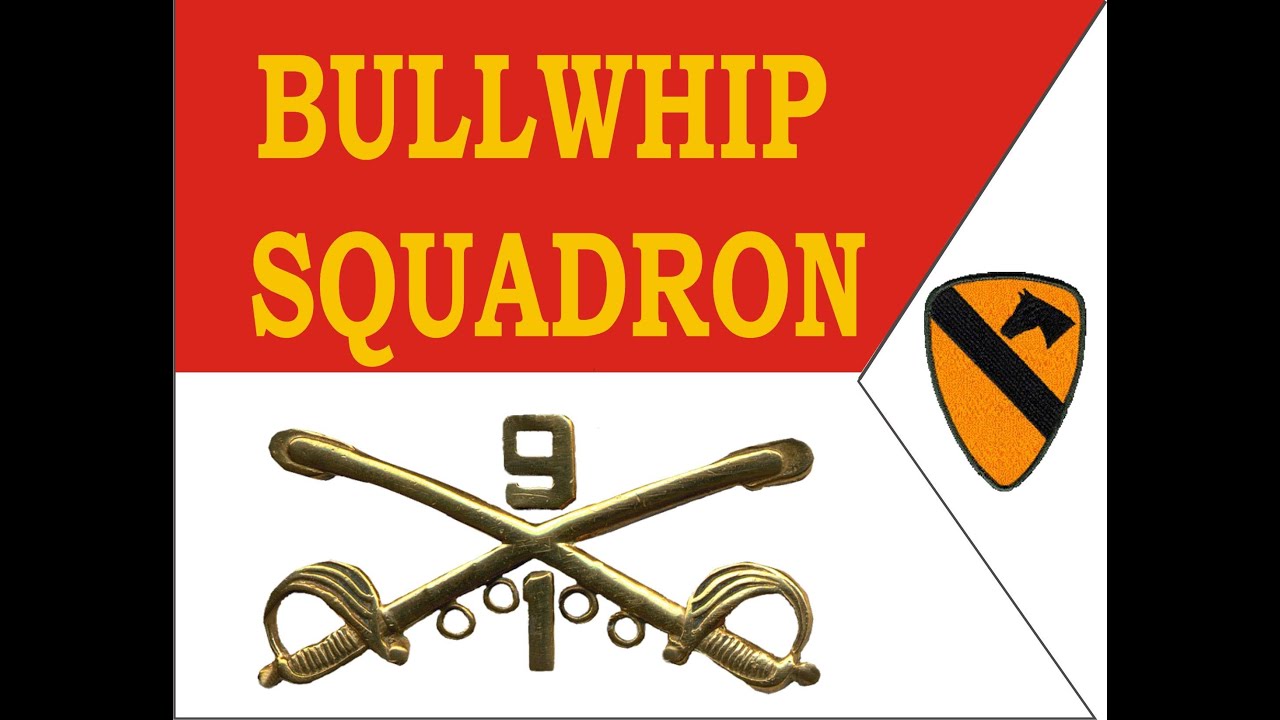 1st Squadron 9th Cavalry Bullwhip Squadron Association Memorial Video  2006 ver 2