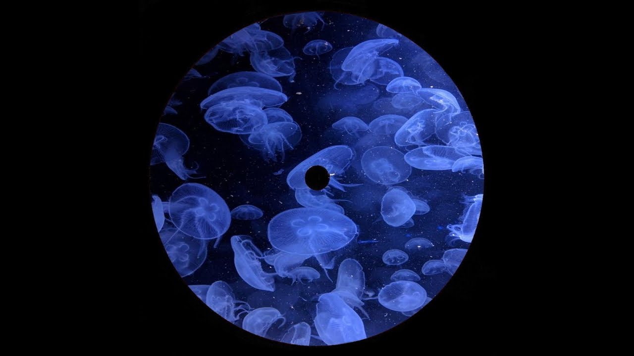Lukea - Crnvrs