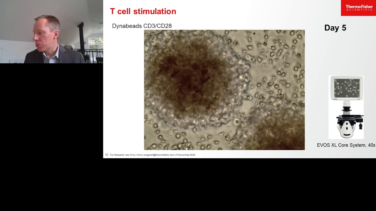 Cell-based Assays to Functionally Characterize Immunotherapy and the Immune Response to Viral...
