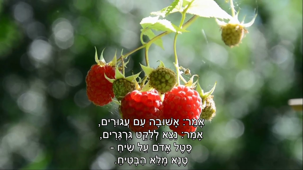 שיר עד - נחל שלי - מילים: לאה גולדברג | לחן: אלכסנדר-סשה ארגוב | ביצוע: בנות מסילות - Messilot Girls