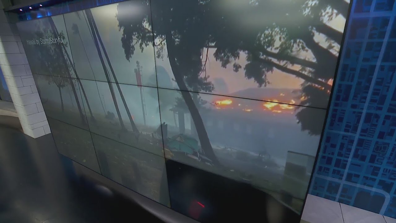 Chicago-area residents helping Maui wildfire survivors