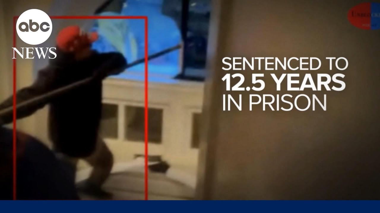 Jan. 6 rioter who used stun gun on officer sentenced l WNT