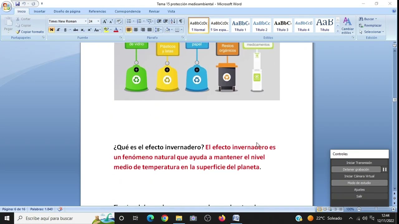 TEMA 15 PINCHE SAS GESTION AMBIENTAL