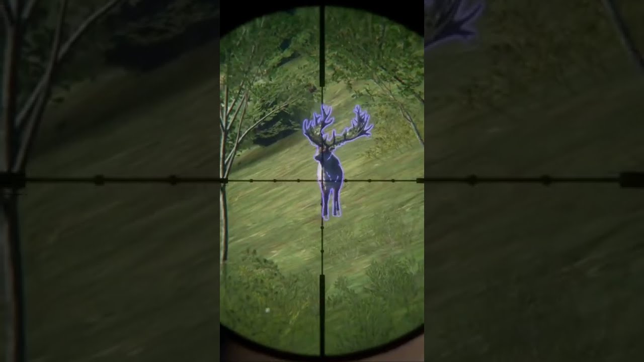 🌟2 Great One Red Deer in UNDER 1000 KILLS!🦌Call of the Wild #Shorts