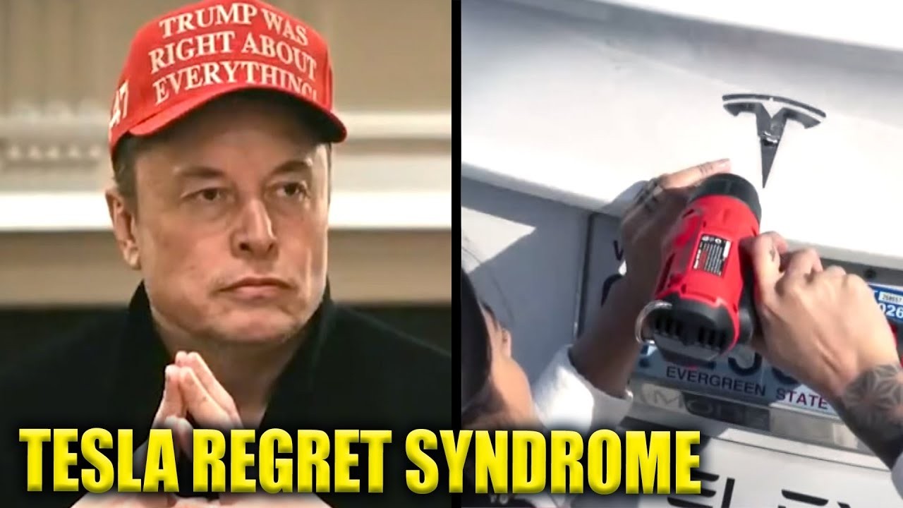 Elon BOILS OVER as Tesla Owners DEFACE Their Own Cars In Protest
