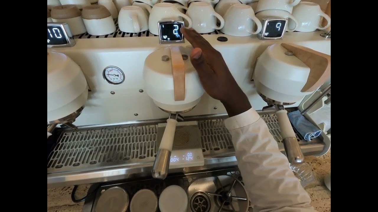 POV: Morning Espresso Calibration on Synesso MVP Hydra ☕#baristalife #coffee #cafe #SynessoMVPHydra 