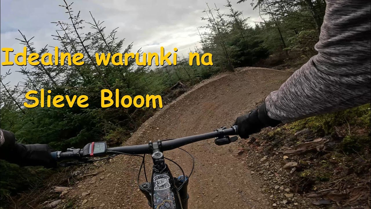 Idealne warunki na Slieve Bloom