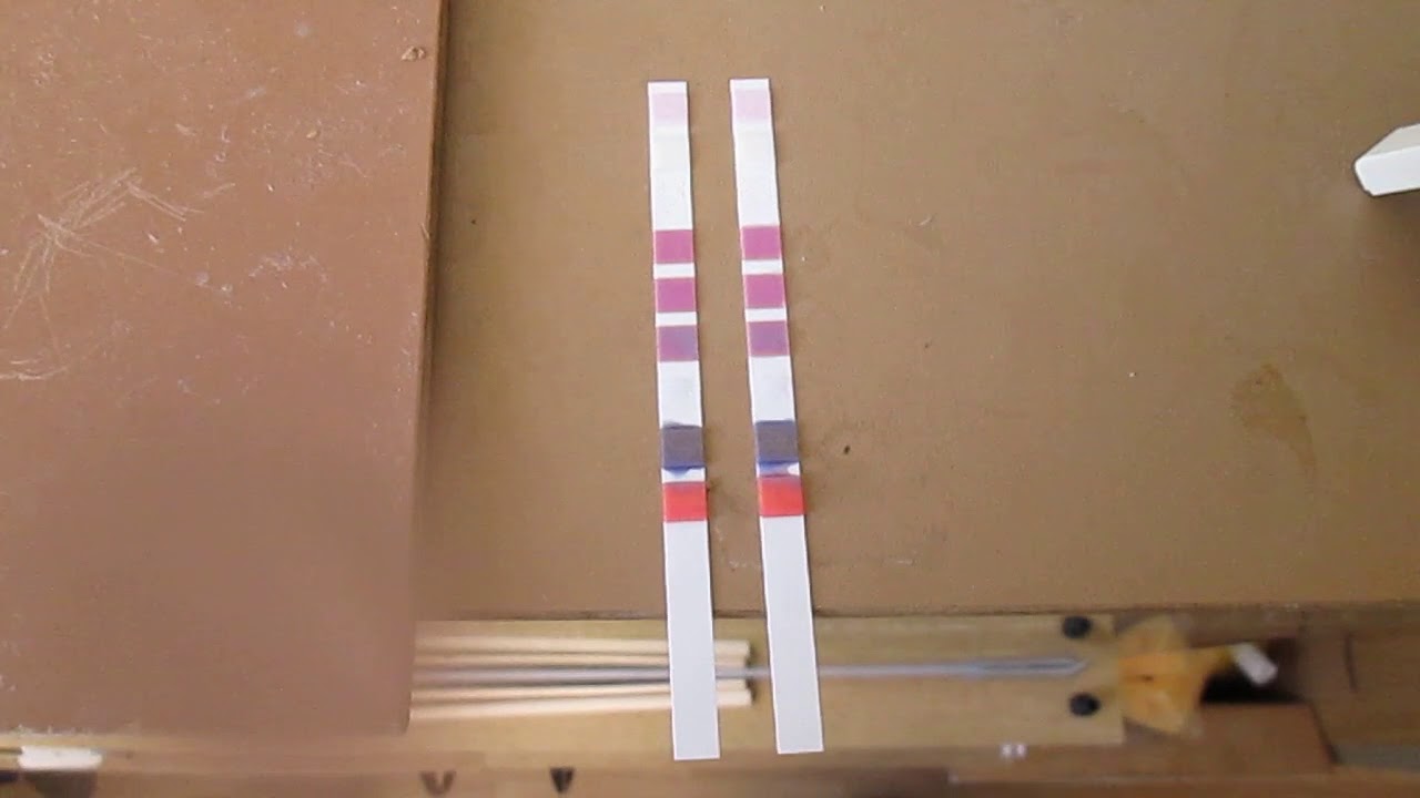 074 Comparare teste Sera Quick Test