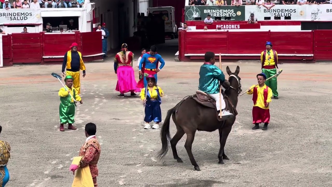 Enanitos toreros 2024