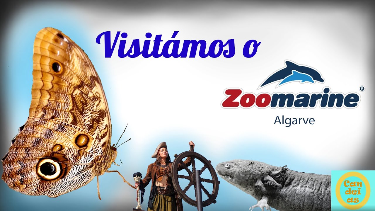 Visitámos o Zoomarine!