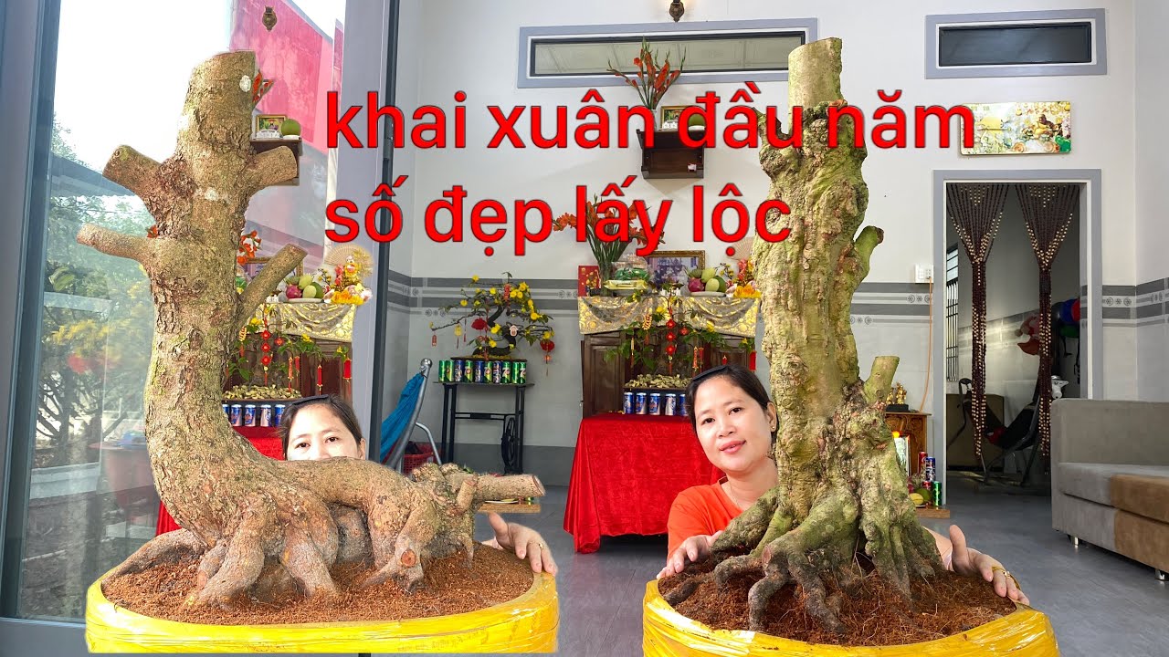 12/2/2026 giao lưu khai xuân lấy lộc đầu năm..lh ủng hộ 0972666608