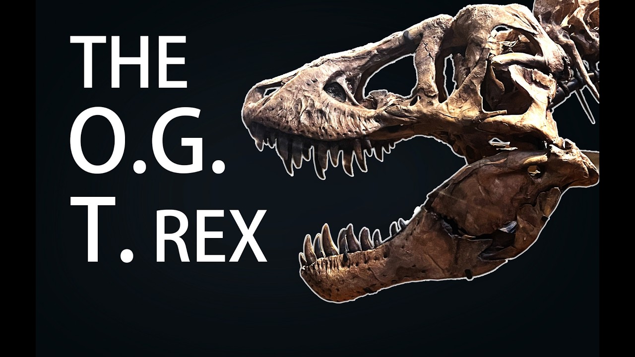 The FIRST Tyrannosaurus rex Ever Named! Carnegie Museum’s Original T. rex Explained