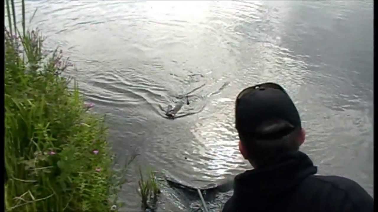 Day Sessions At Butterley Carp Fishing