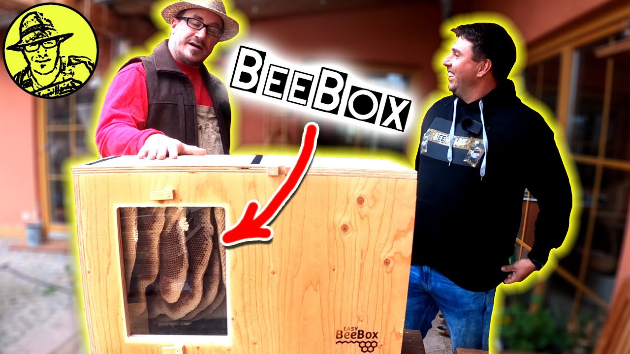 Imker sind ein gehässiges Volk / Easy Bee Box /