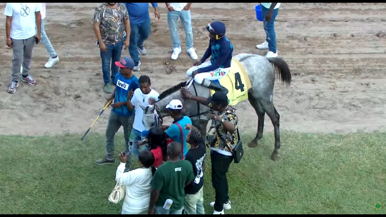 JAMAICA RACING: Midnight Galaxy Easy As Ever In Wed, Feb 18, 2026, 7th