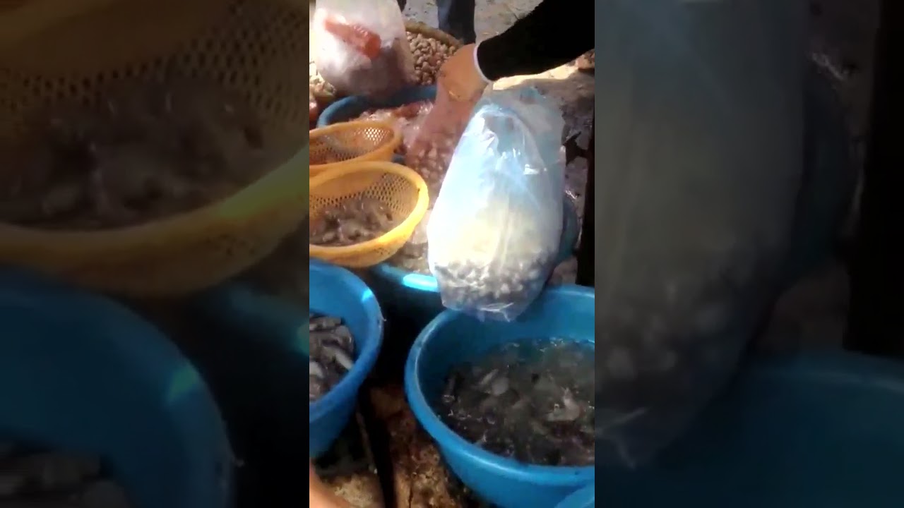 Top amazing daily Asian live market | Real life street food local stall compilation #09 #Shorts