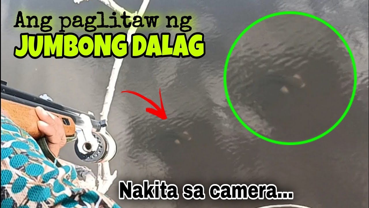 MALAKING DALAG NAHULI CAM ANG PAGLUTANG SA IBABA LANG NAMIN/AIRGUN FISHING/MHEDDS JOE TV/VLOG#556