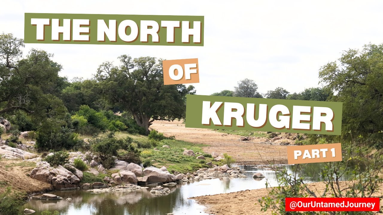 Exploring The North of Kruger! 🐘🦒🦓