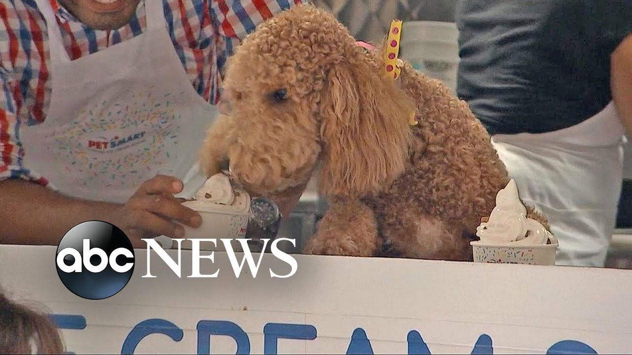 National Ice Cream Day
