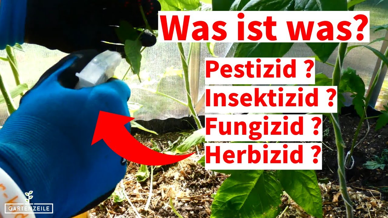 Unterschiede Pestizid, Insektizid, Fungizid und Herbizid