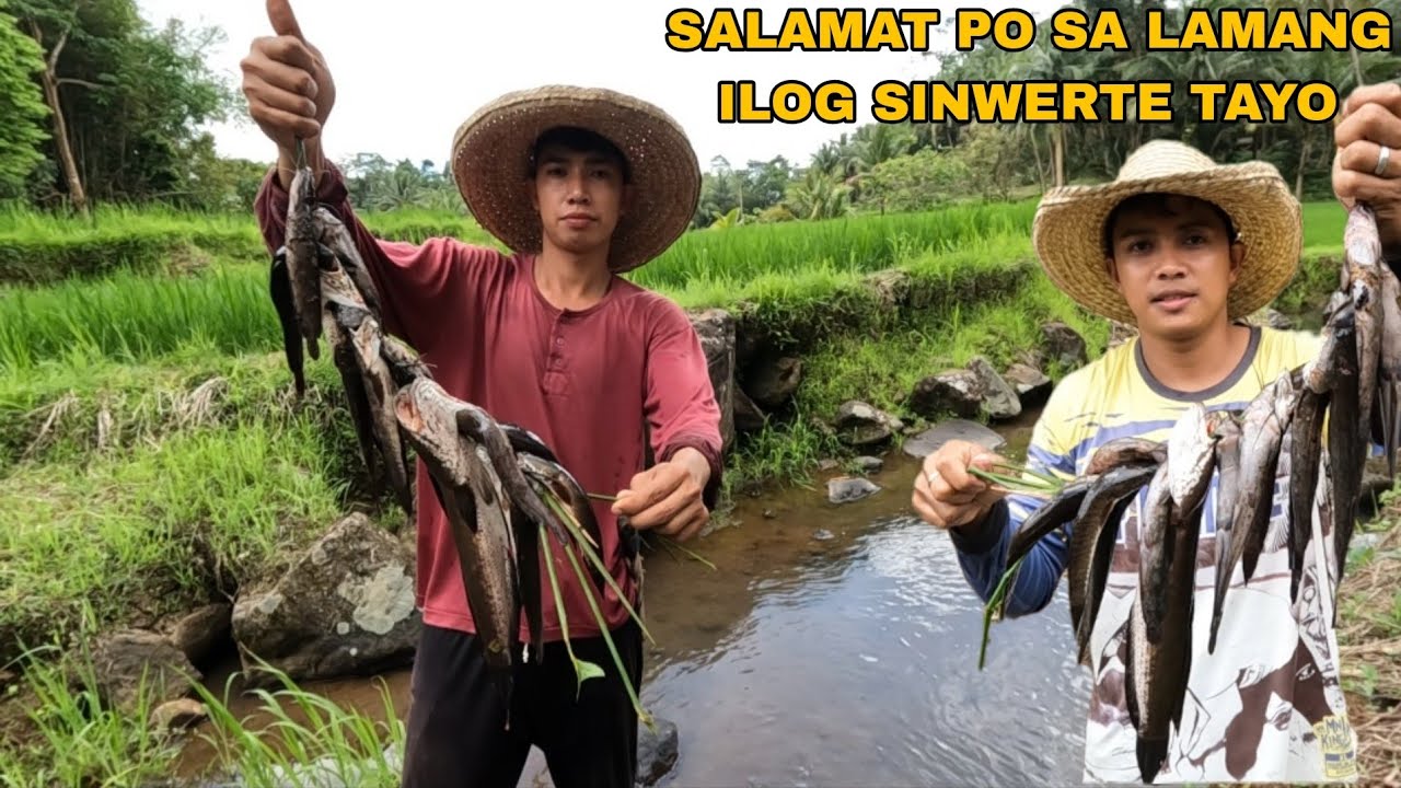 PUNO NG HITO AT DALAG ANG IRRIGATION NG ATING PALAYAN SA AREA #5 JACKPOT SA DAMI