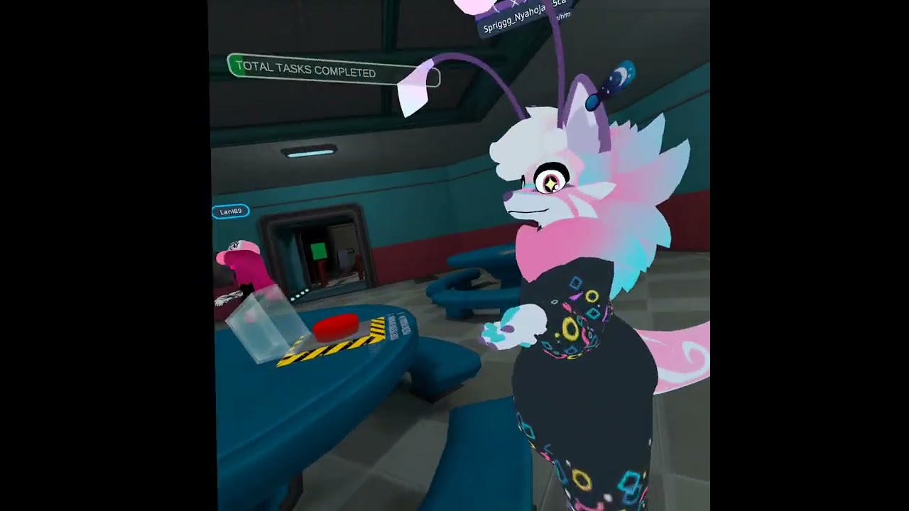 VRchat video (Random stuff I record)