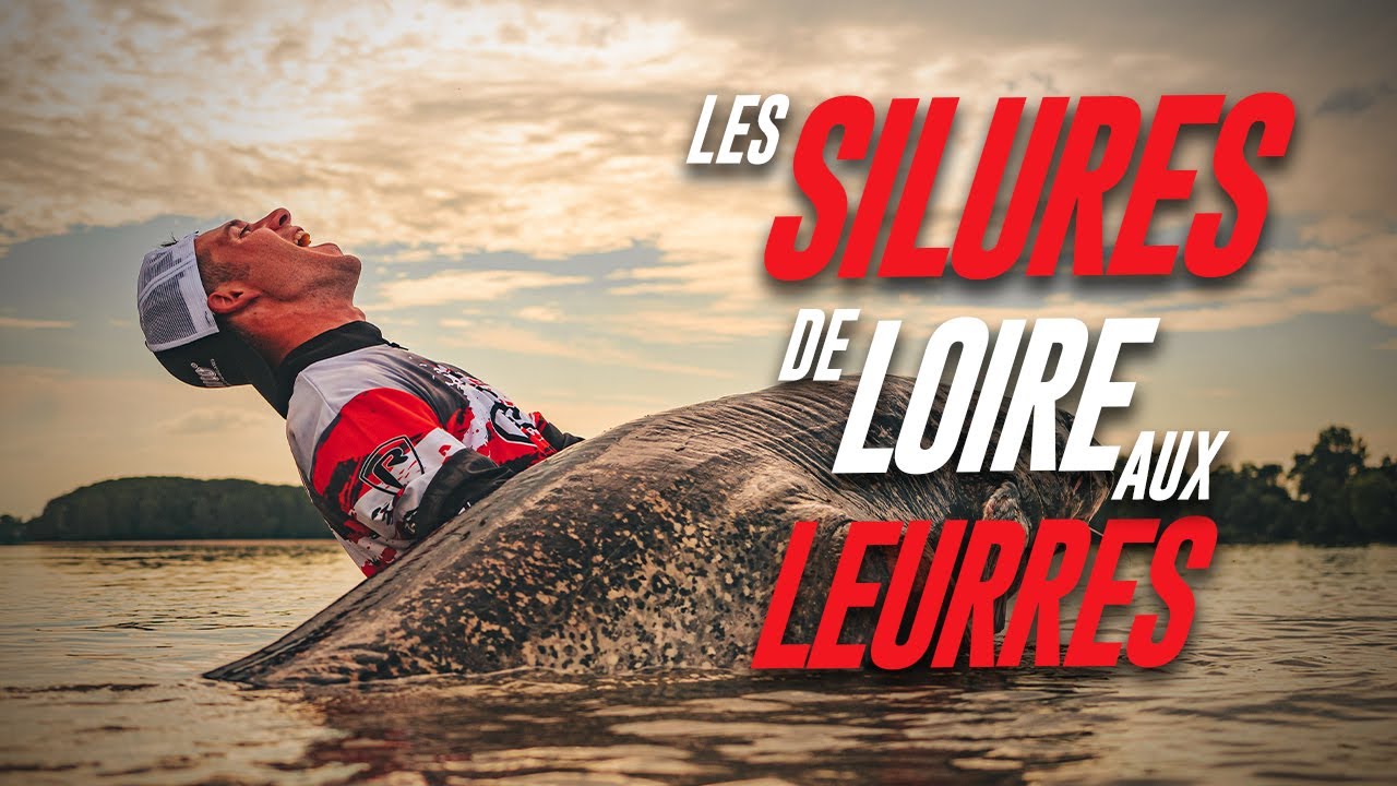 Les SILURES de LOIRE aux LEURRES / Maxime Albert