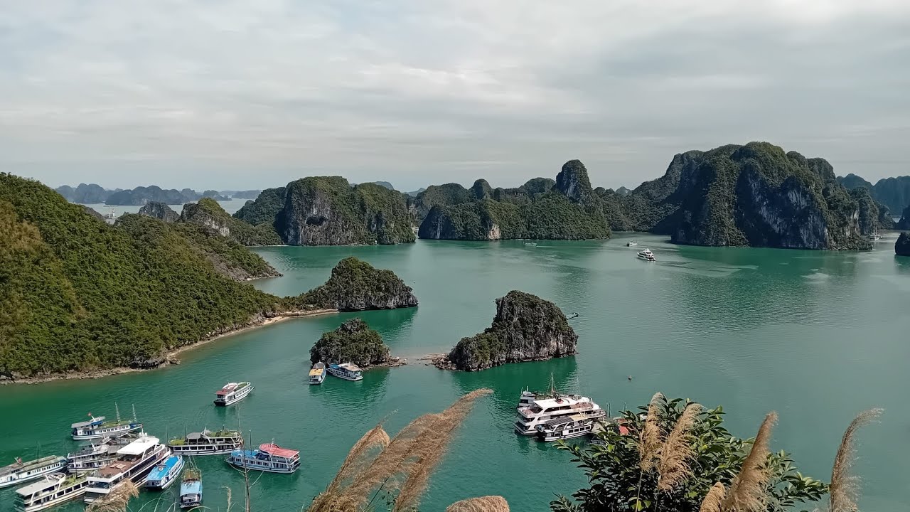 Vietnam del Nord: Un paradiso verde 🇻🇳
