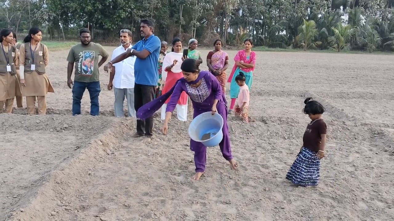 Agriculture College final year student training village cultivation crop