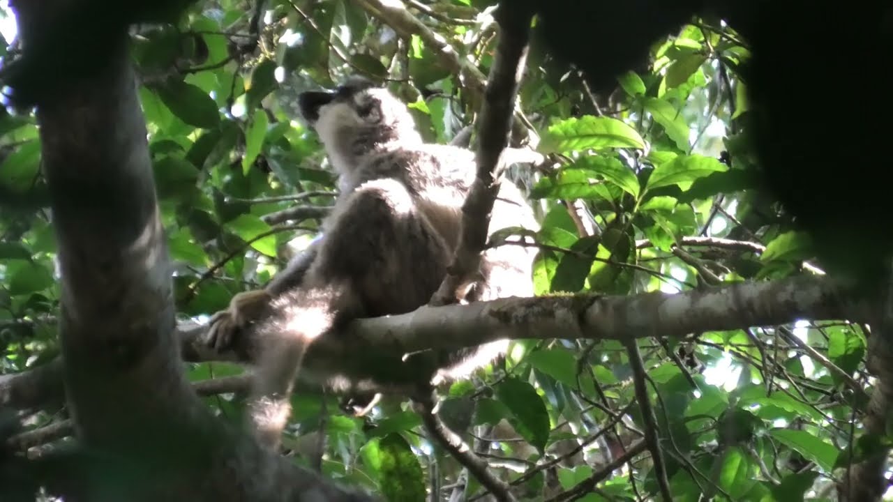 Madagascar 2024 Part 2