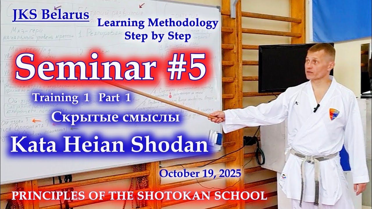 SEMINAR #5 Hidden Meanings of Kata Heian Shodan Training 1 Part 1 Theory #heianshodan