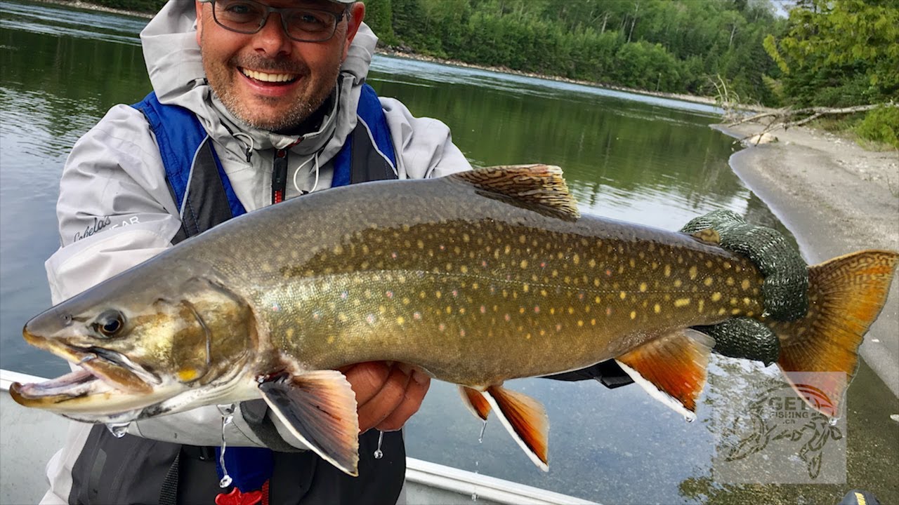 Superior Brook Trout Fishing