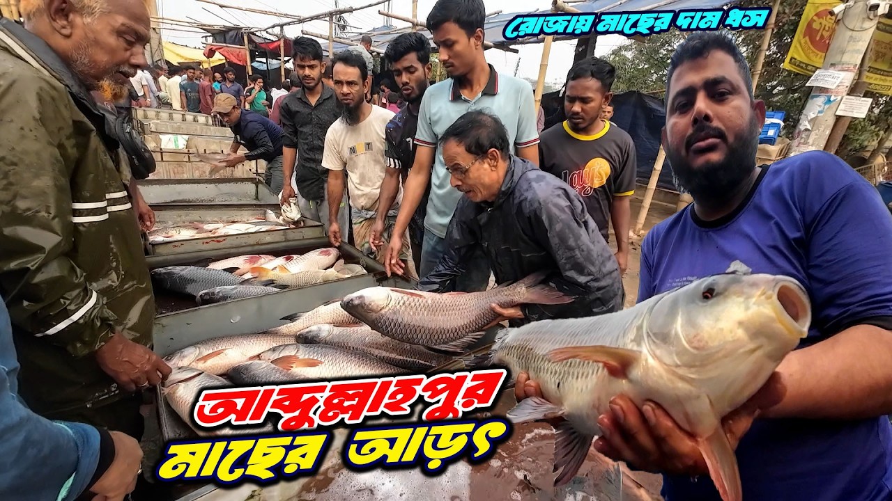 মাছ কিনতে এখনই সময়! ক্রেতা নেই বলে সস্তা দামে মাছ আব্দুল্লাহপুরে | Fish Market Dhaka