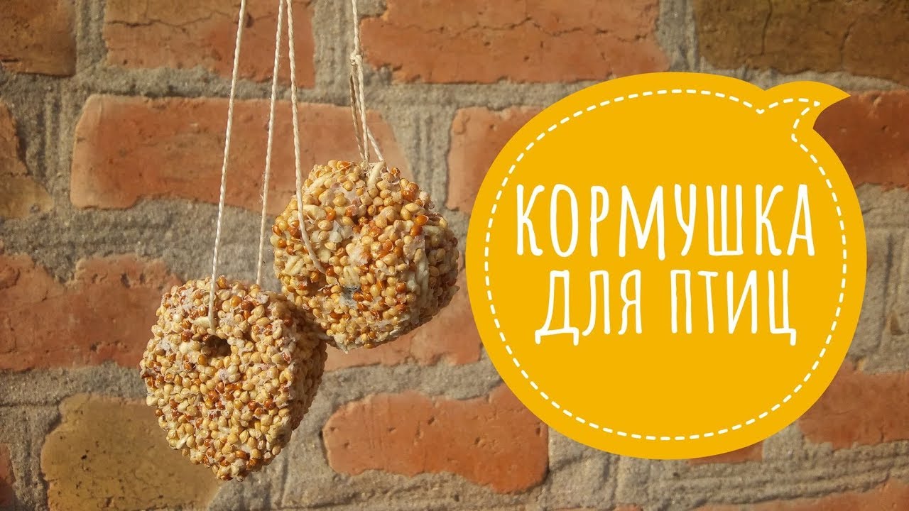 Корм для птичек на зиму. Кормушка своими руками
