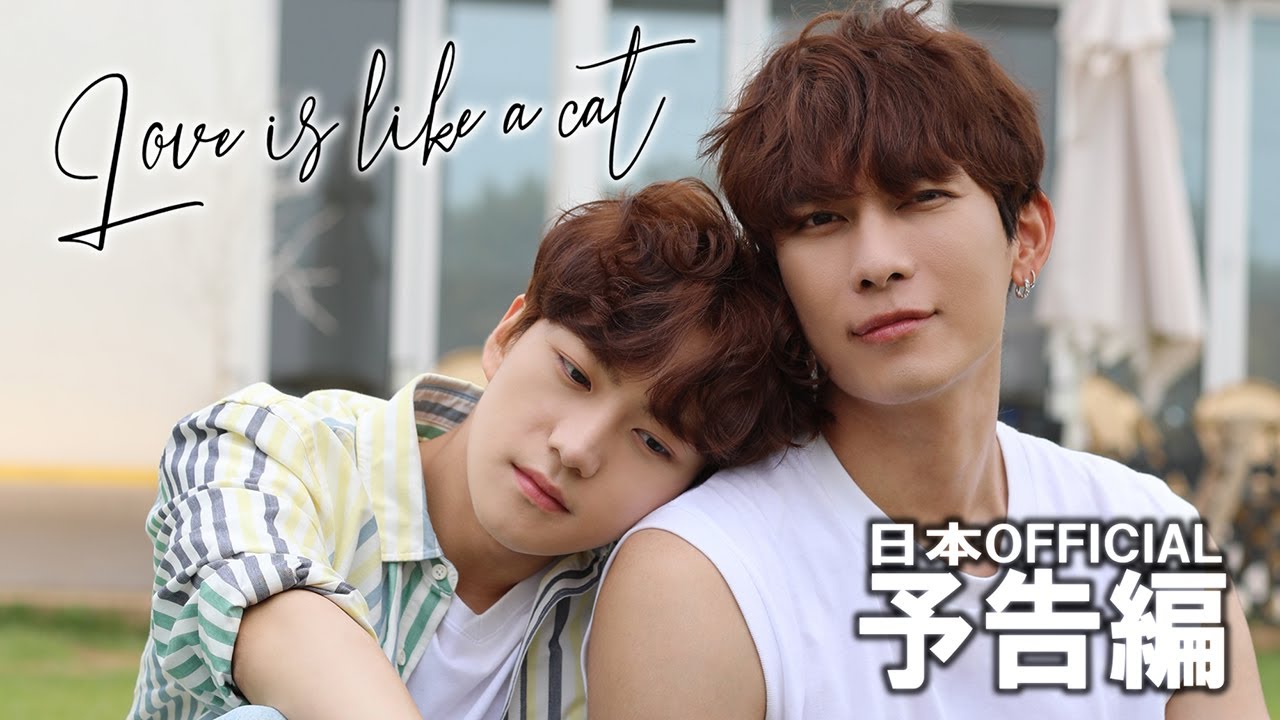 【公式】BLドラマ「Love is like a cat」予告編（日本語字幕）