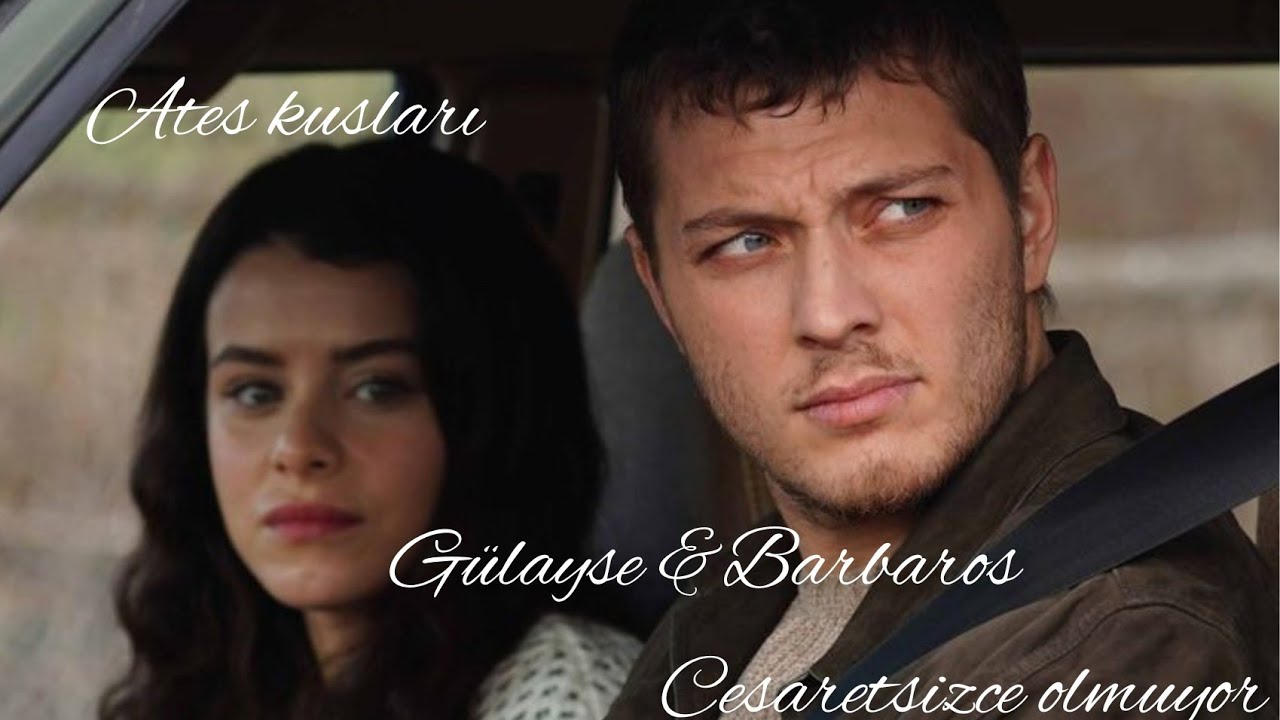 Barbaros & Gülayşe klip 🤎| Cesaretsizce olmuyor #ateşkuşları