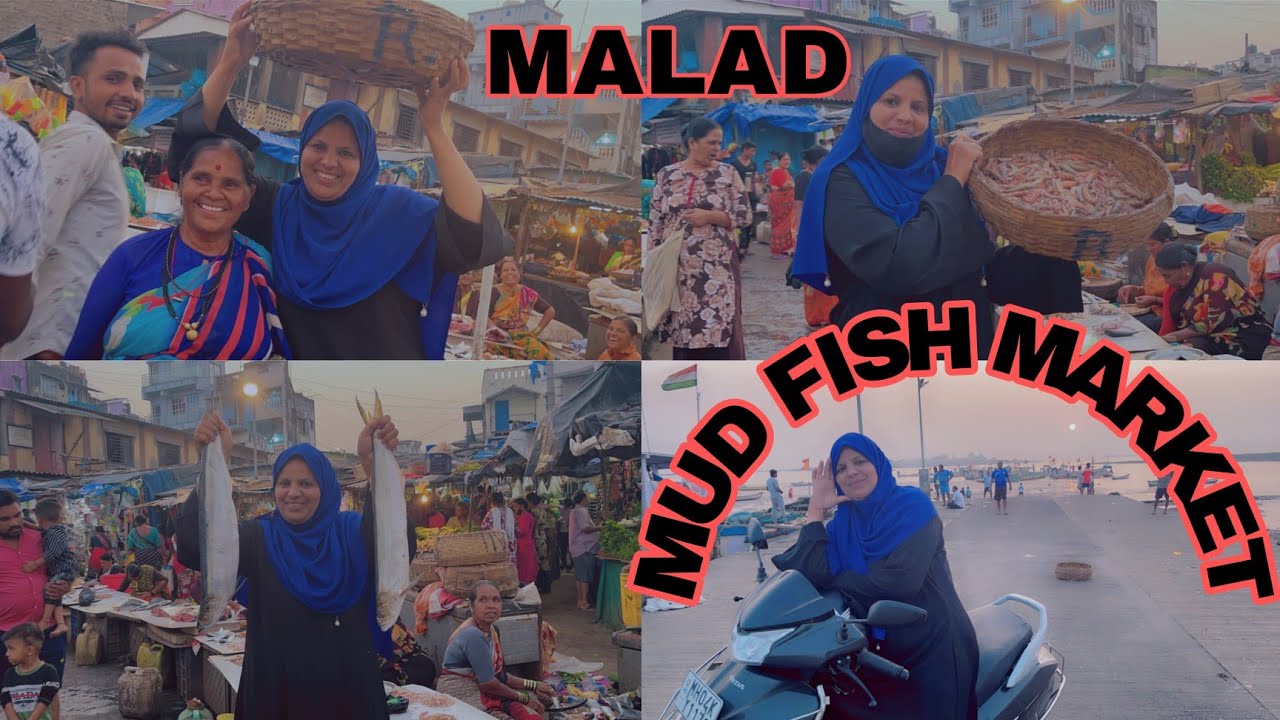 Malad Mud Fish Market|| Fish Market in mumbai|| Cheapest Fish Market