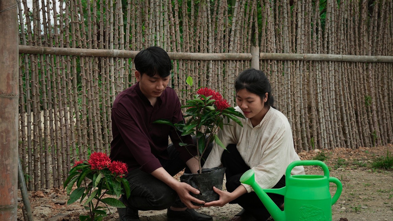 Tieu Ai's dream house became complete and beautiful thanks to the skillful hands of Mr. Khanh.