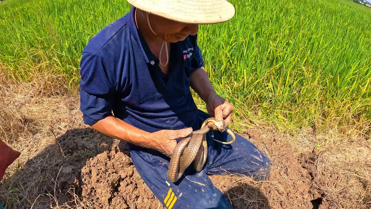 Con này không được tính vô danh sách thả lại | TGSB #466