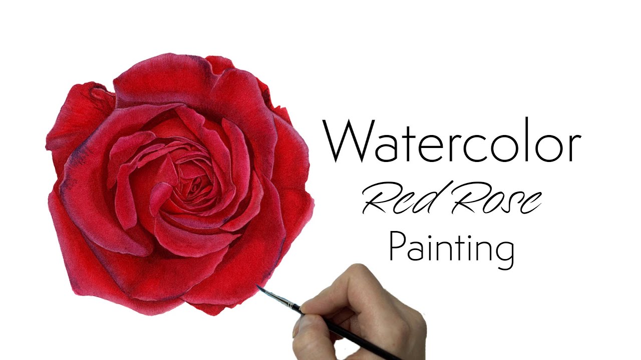 How to Paint Realistic Vibrant Red Rose with Watercolors 🌹 Calming painting