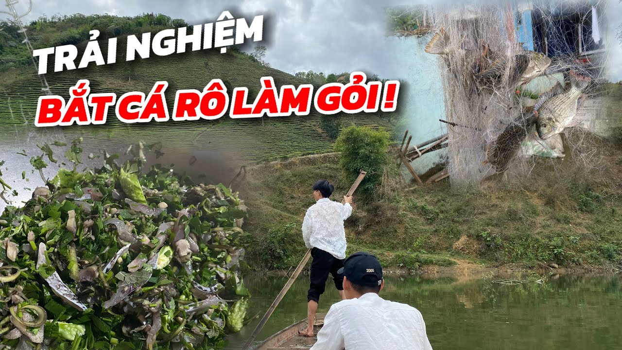 THÚ VỊ || TRẢI NGHIỆM BẮT CÁ RÔ PHI TRONG LÒNG HỒ THUỶ ĐIỆN VỀ LÀM GỎI ||  KIỆT SUKY VLOGS