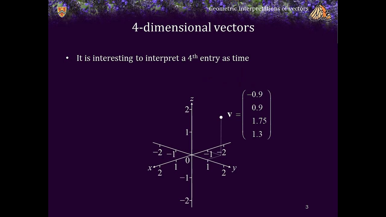 2 1 4 Geometric interpretaion of real higher dimensional vectors