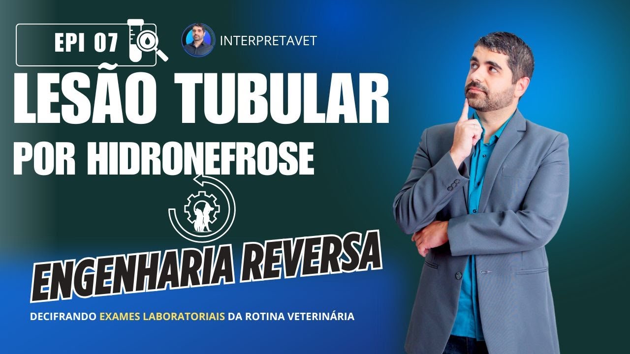 Aprenda a reconhecer LESÃO TUBULAR em cães e gatos pra agir RÁPIDO.