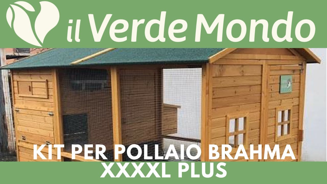 IL POLLAIO PERFETTO PER INIZIARE | Kit per Pollaio Brahma XXXXL PLUS