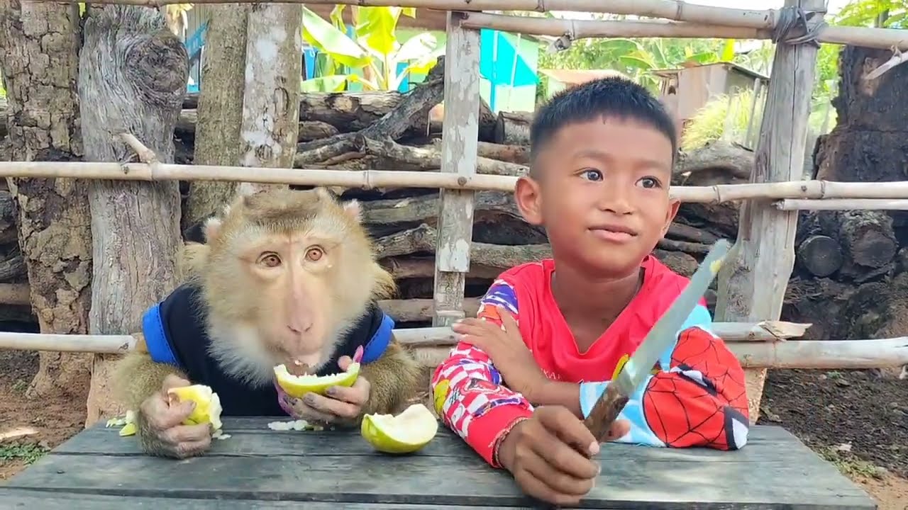 Smart Abii Shares Fruit with SokYaa  - INCREDIBLE FRIENDSHIP!