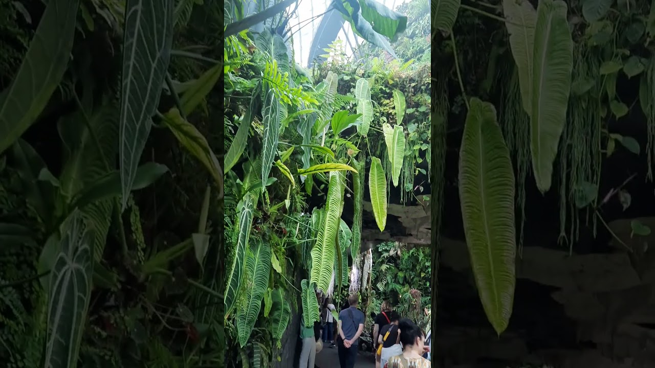 moment idul fitri 2024 9