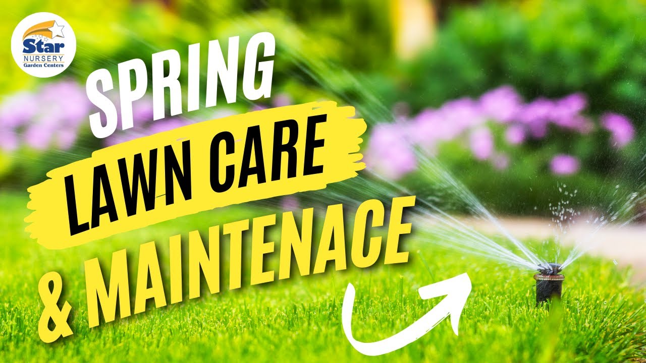 Spring Lawn Care & Maintenance
