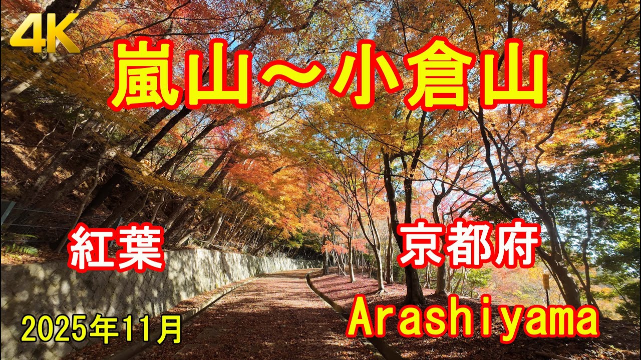 嵐山～トロッコ保津峡駅～小倉山～嵐山公園亀山地区 頂上展望台・紅葉　Arashiyama～Ogurayama～Arashiyama Park viewpoint [4K]
